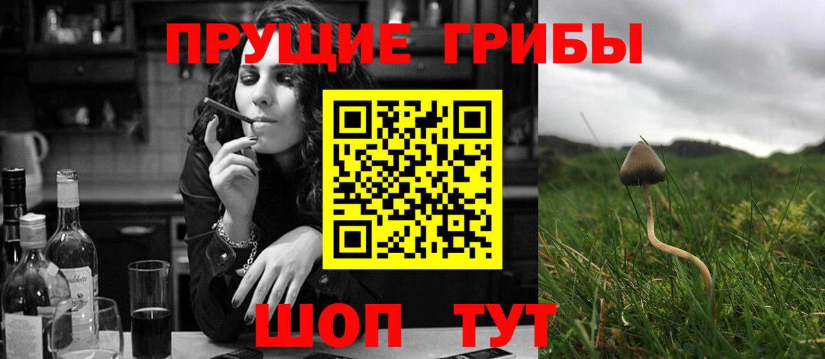 Псилоцибиновые грибы Magic Shrooms  Вход с VPN  Конаково 