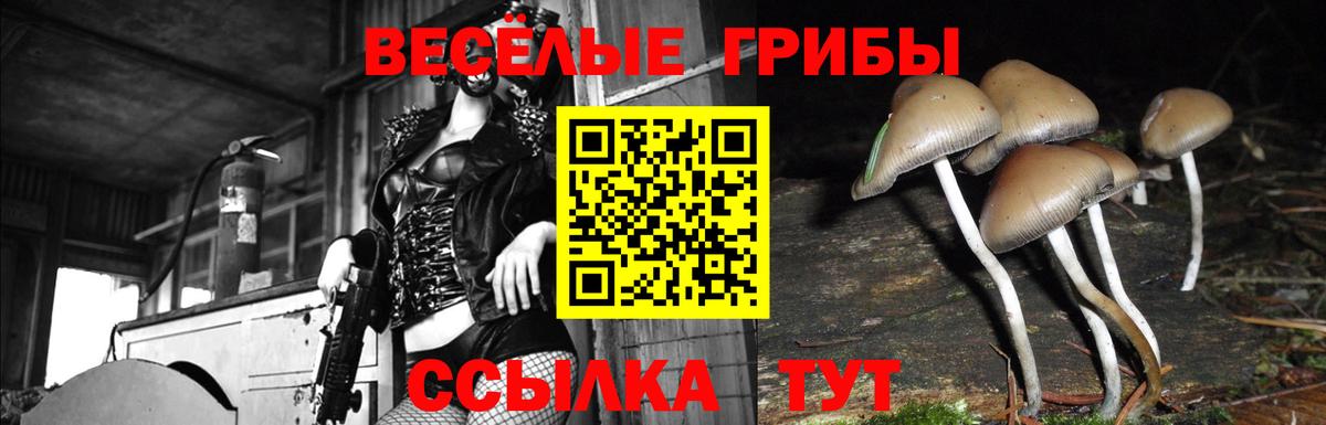 Псилоцибиновые грибы мухоморы Конаково